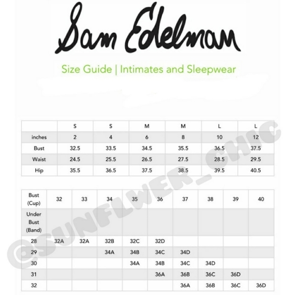 🆕️NWT Sam Edelman Lace Cheeky Panty - Picture 9 of 9